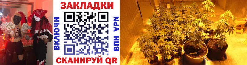 Виды наркотиков купить Дорогобуж Галлюциногенные грибы  МАРИХУАНА  Мефедрон  Гашиш  COCAIN  СК 