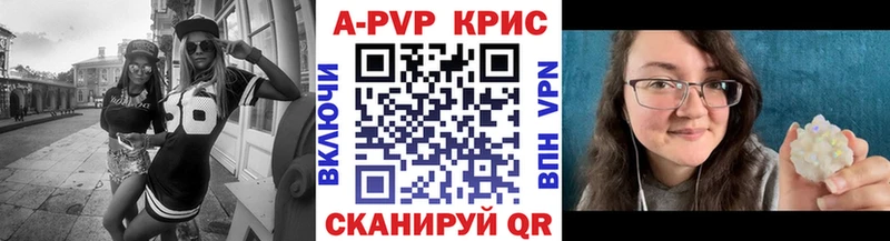 A PVP СК КРИС Дорогобуж